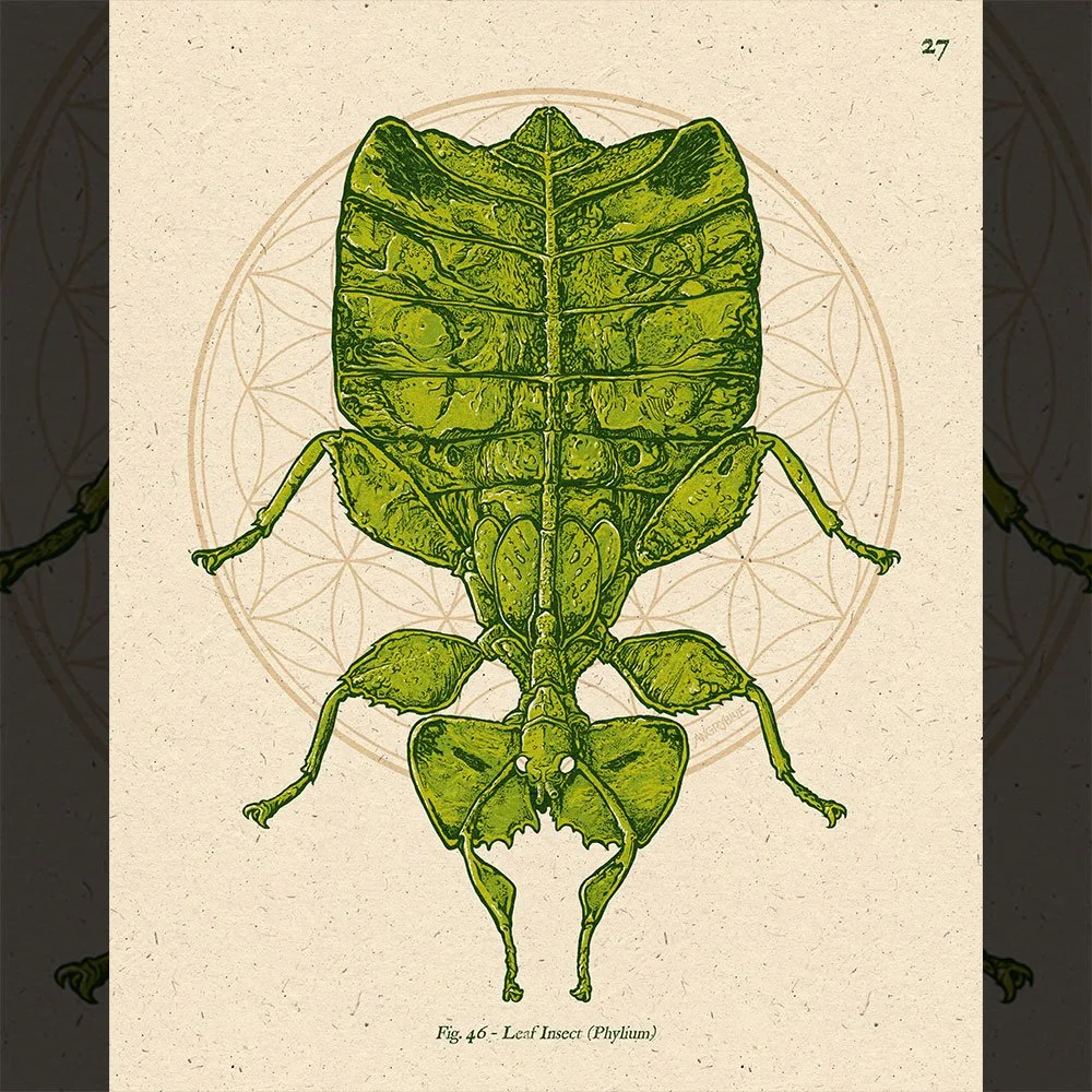 Phylium_Fullcolor_by_Angryblue.jpg