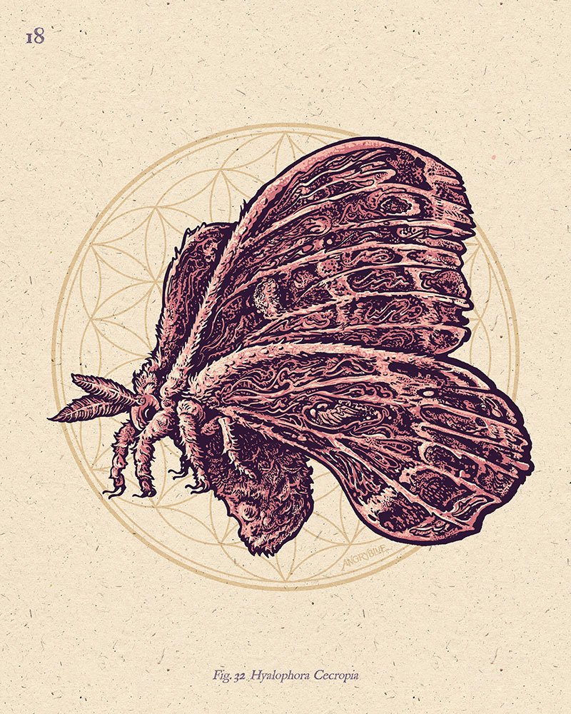 Cecropia__Fullcolor.jpg
