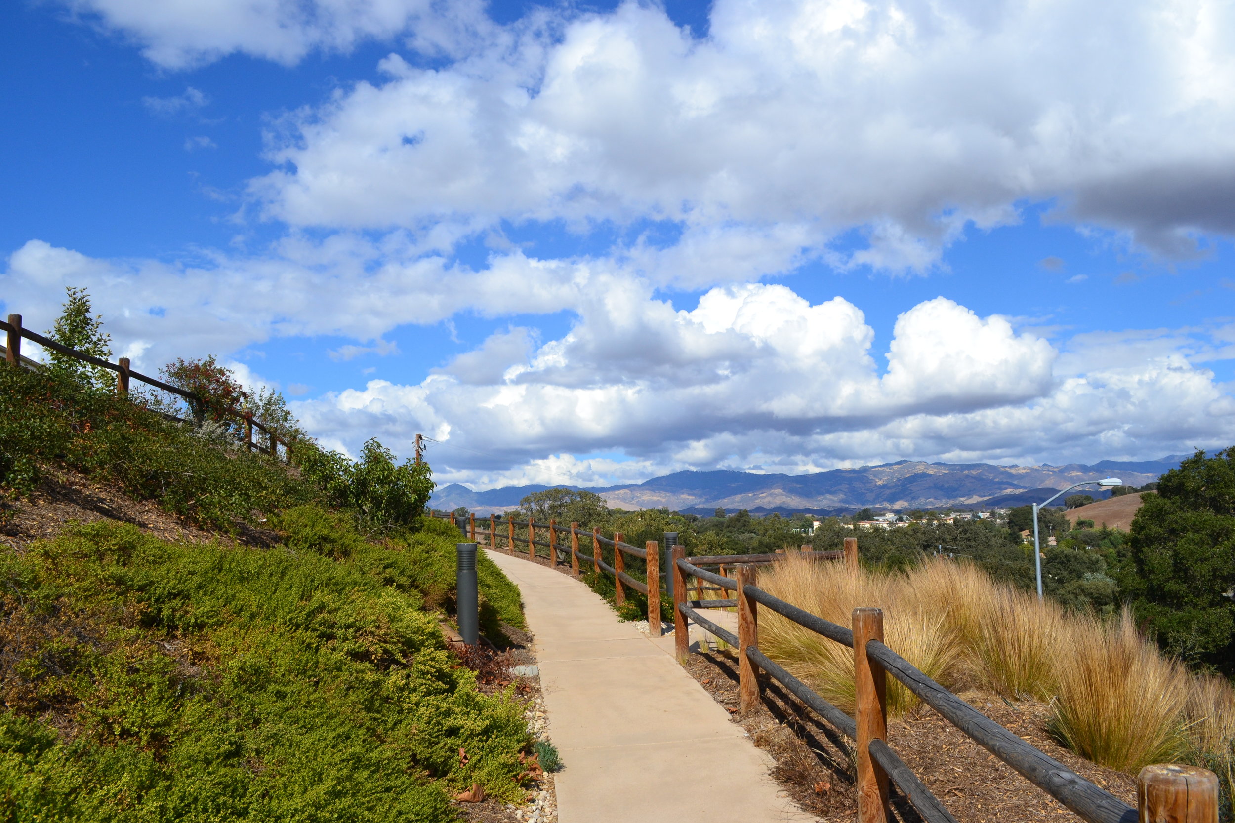 landscape10-10-12 075.jpg
