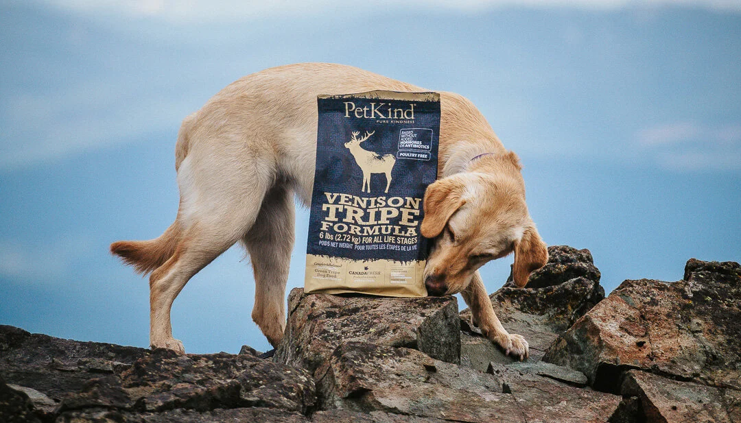 Tripe Dry Petkind Tripe Dry Petkind