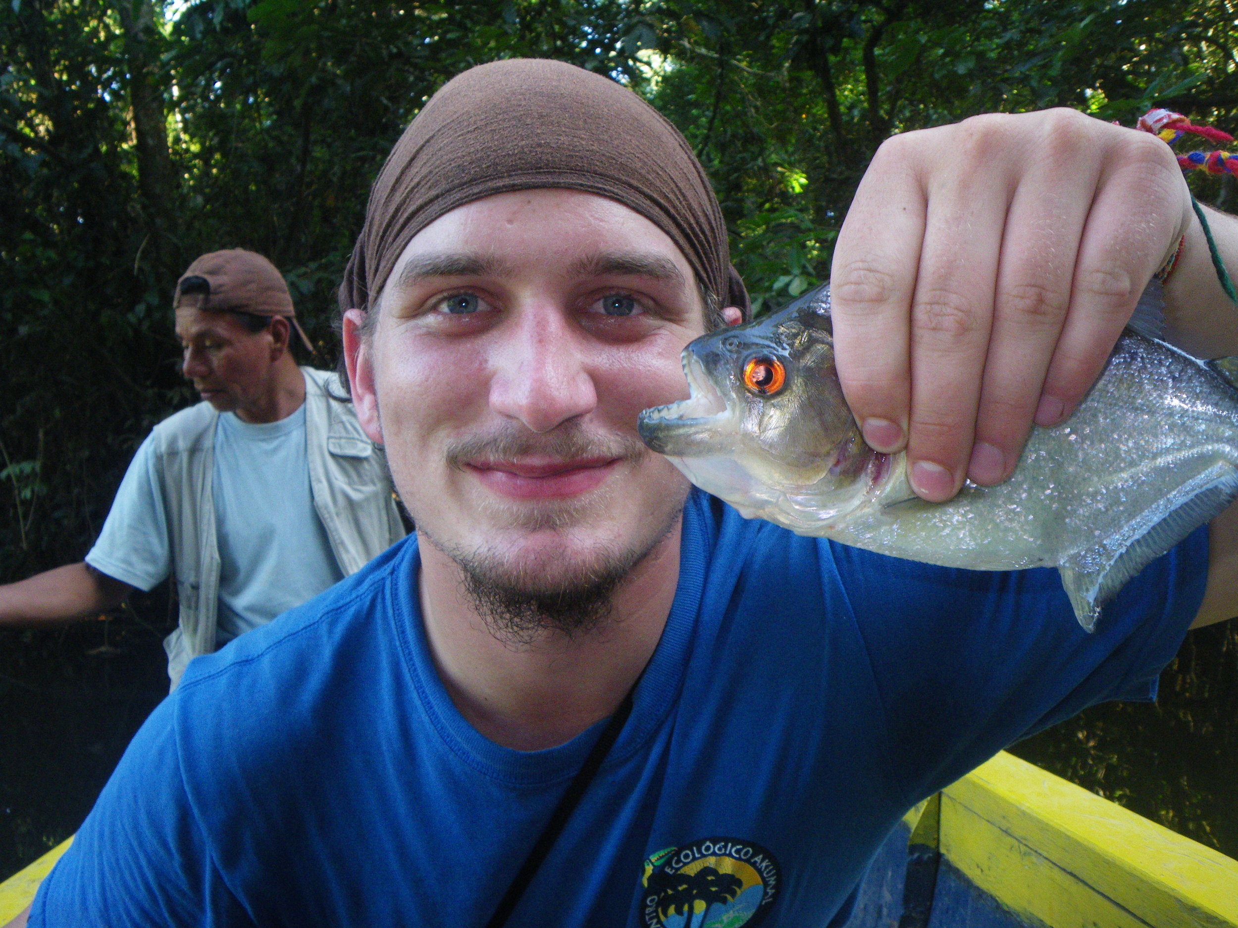  Amazonian piranha I caught. 