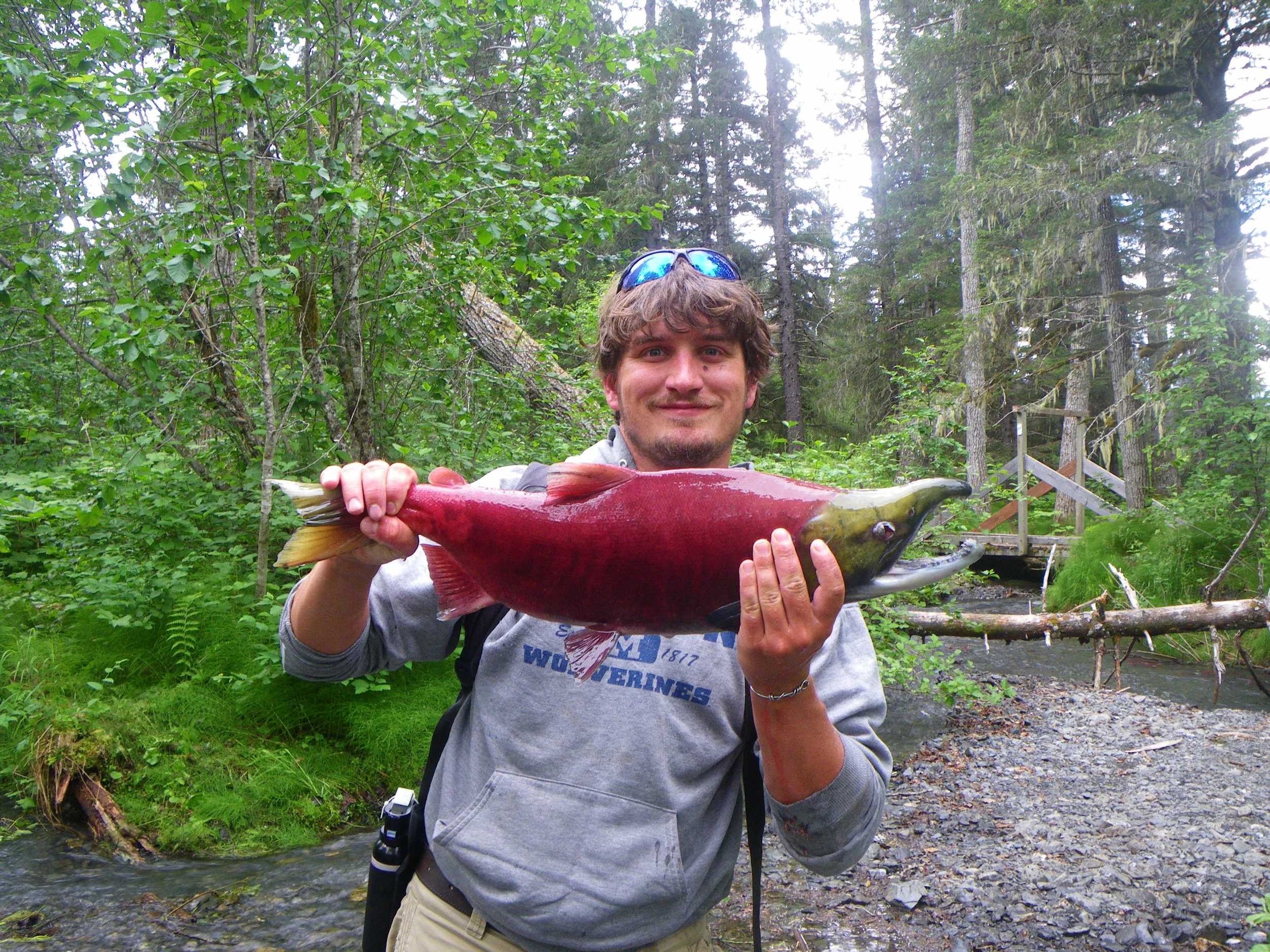  A nearly zombified salmon. 