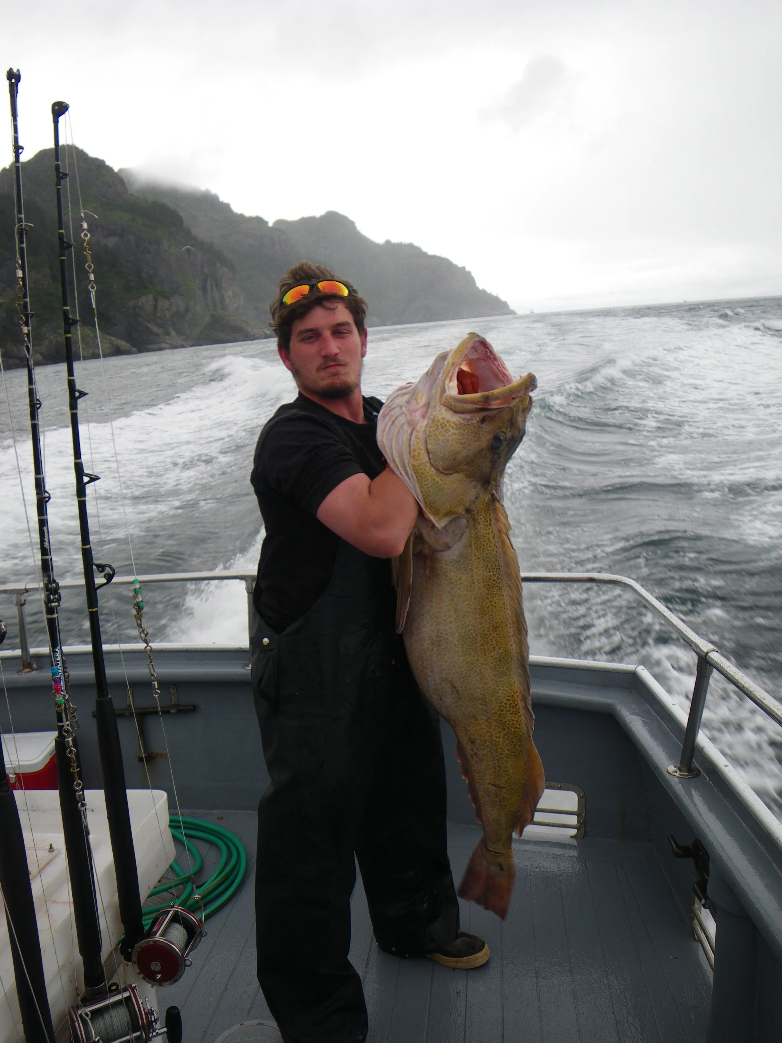  A nice Lingcod 