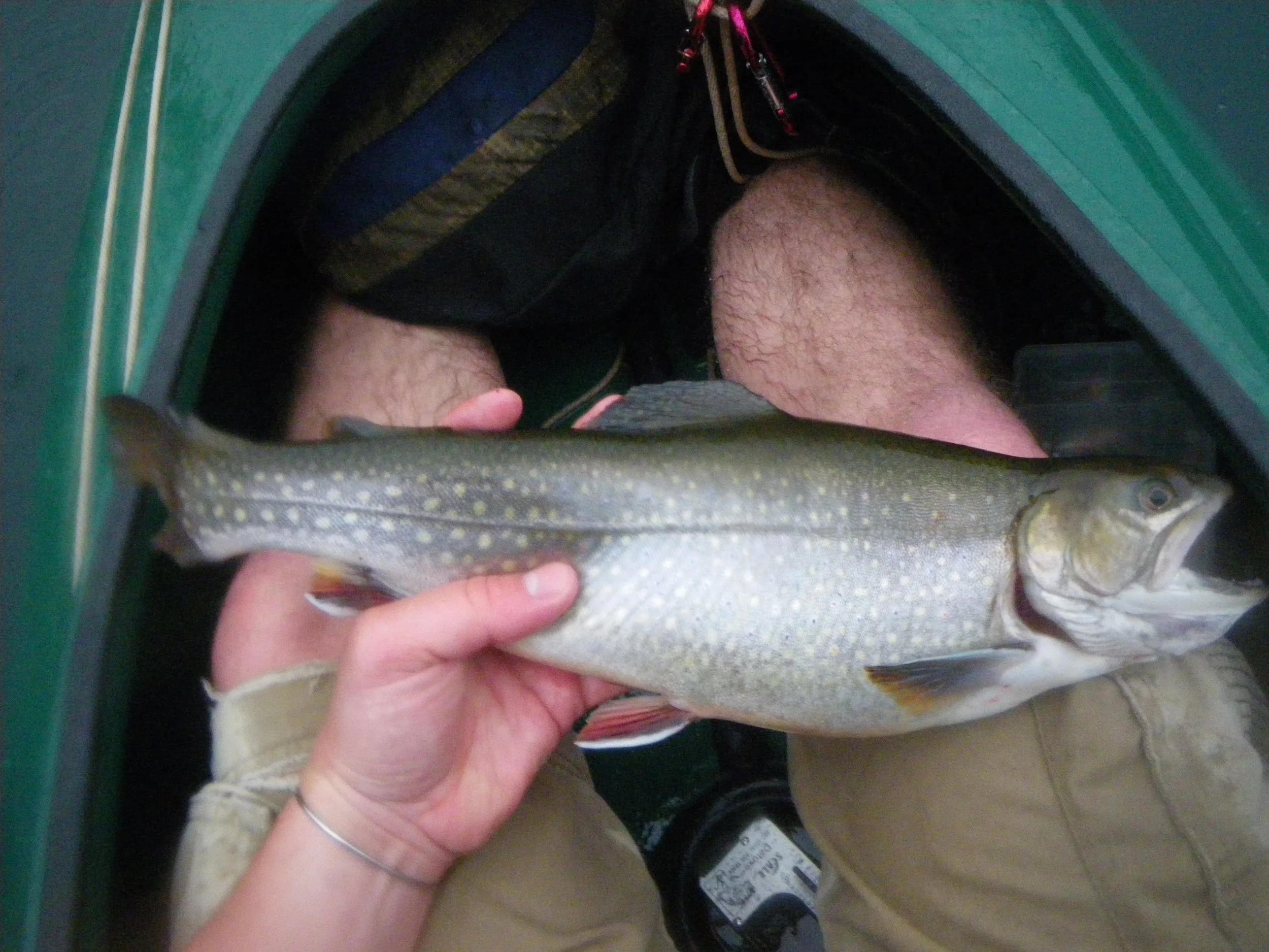  A fat spring brookie in the UP 