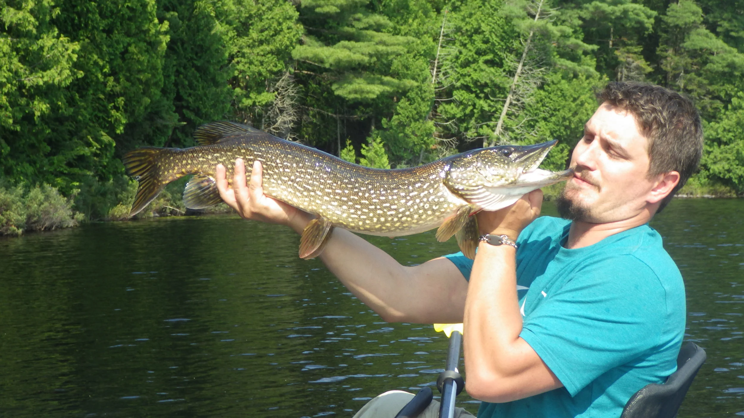  My dad's pike that I had to land for him. 