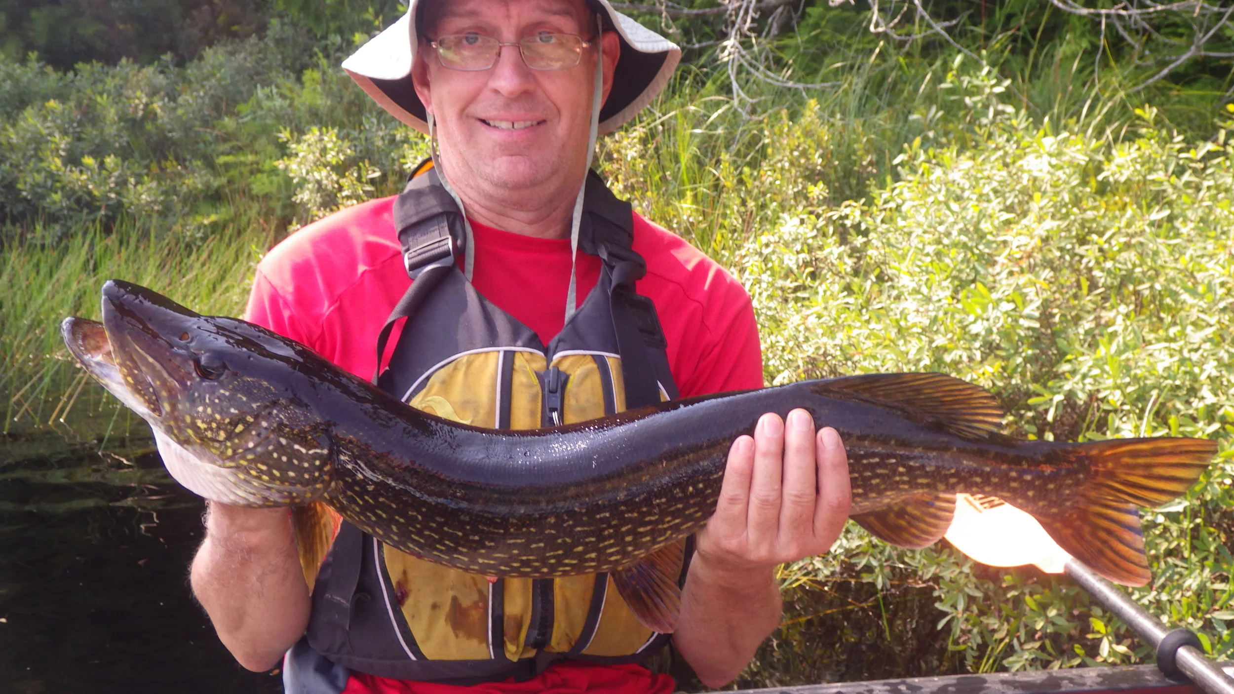  My dad with his largest fish he's ever caught. &nbsp;A huge northern pike. 