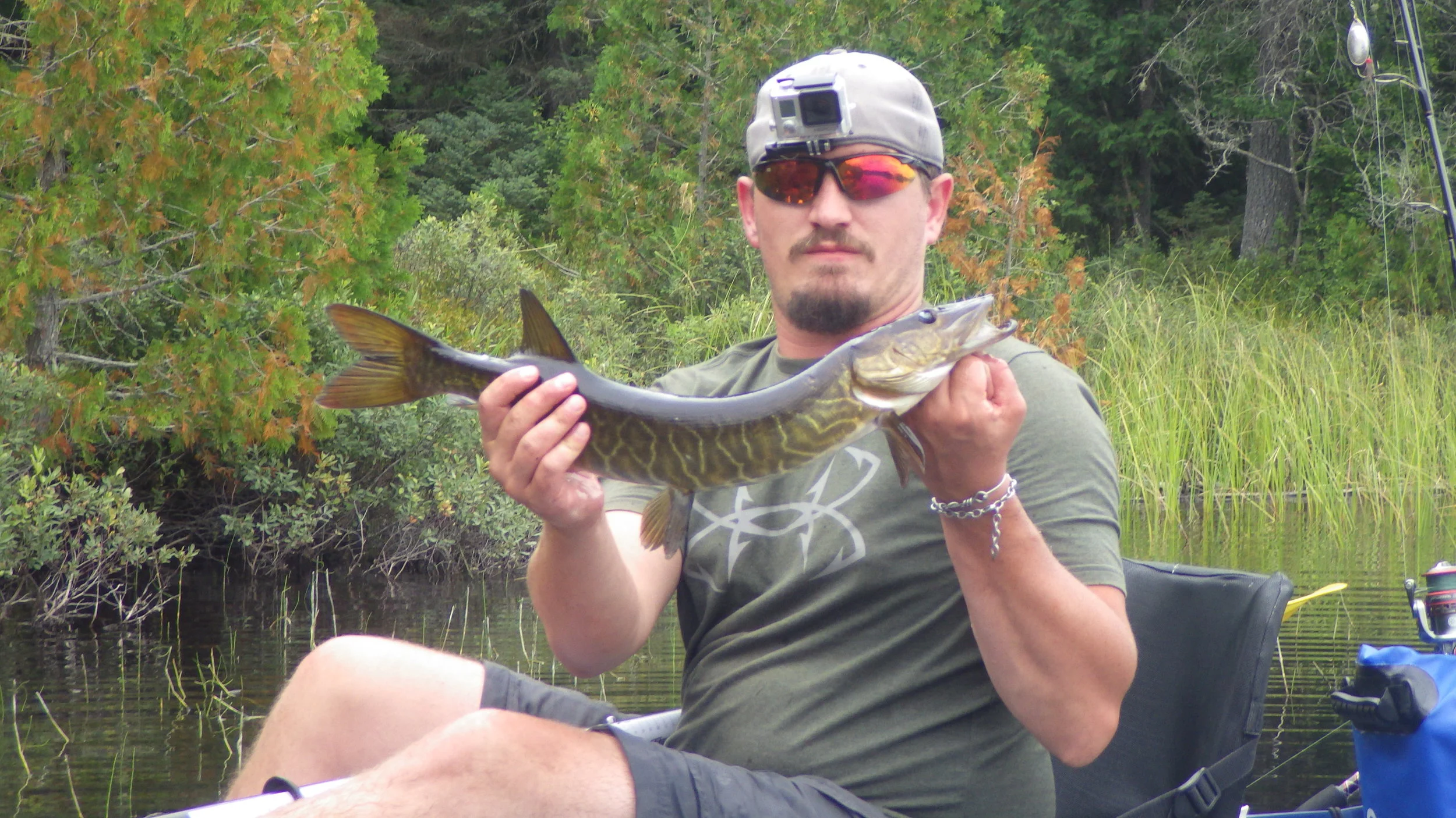  A little tiger musky - or barred musky. &nbsp;Not entirely sure which variant it is... &nbsp;but a musky nonetheless. &nbsp;Dad caught this one and I landed it for him. 