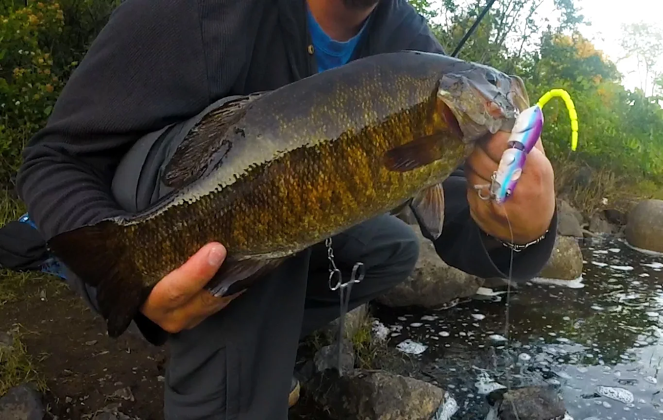 Big smallie on a BBZ-1 30 size Morning Dawn