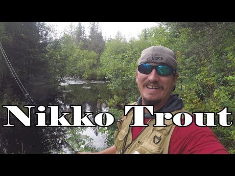 Nikko Stonefly, Mayfly, & Caddisfly | Native Brookies on Super Realistic Plastics