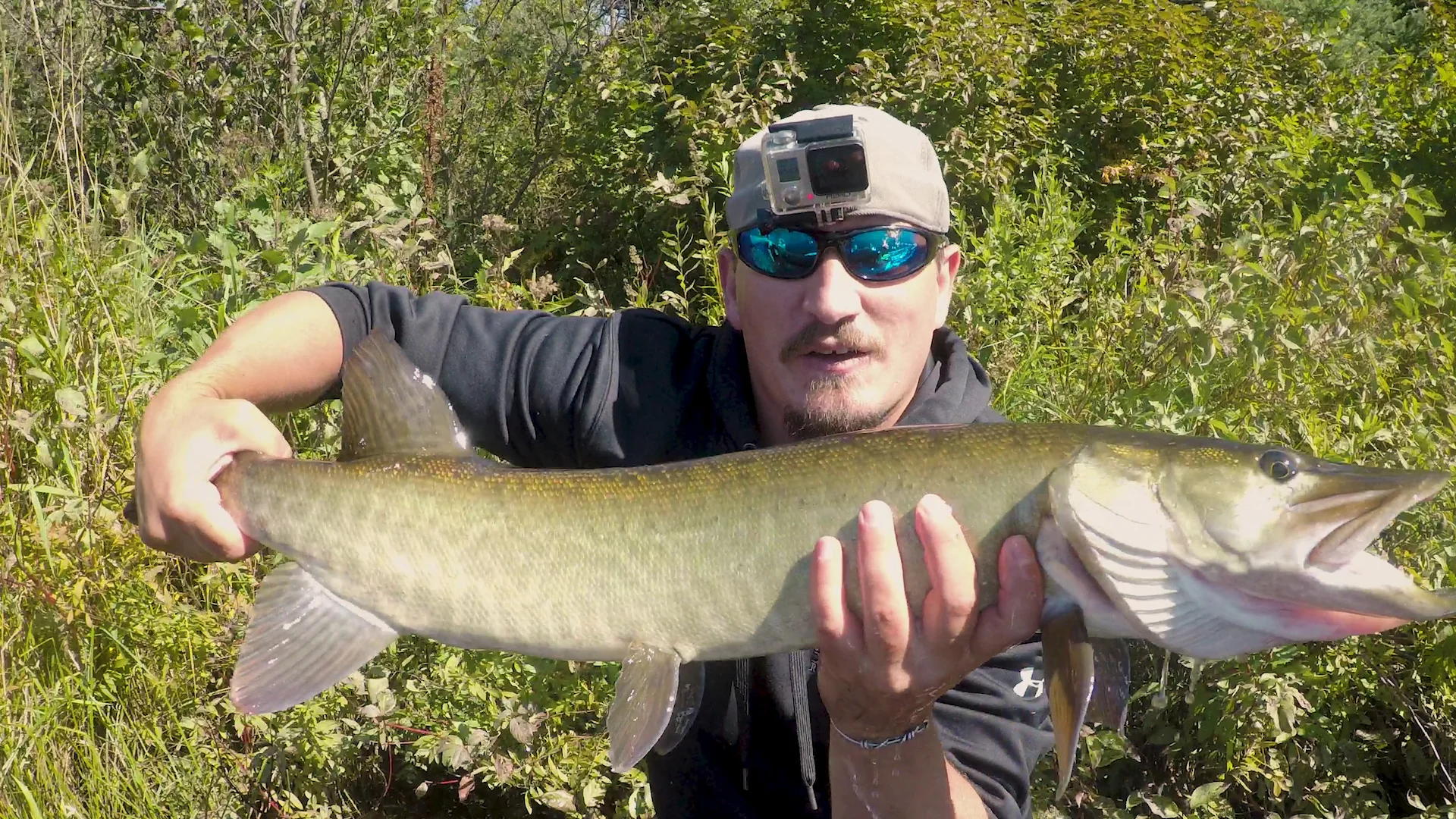 This musky smoked a smallmouth bait while waiting behind cover.