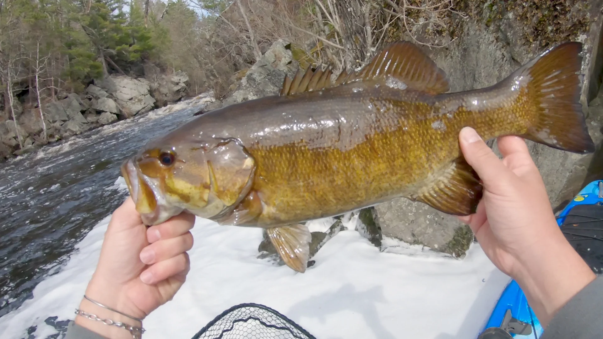 Big smallies in May! Love the nice fish after a long winter.