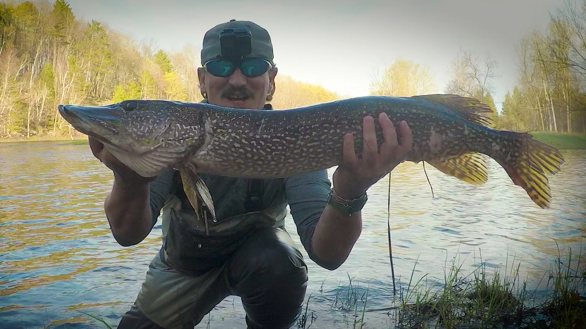 Monster pike. They almost never grow this large in the rivers that I fish. This was a super rare catch. So cool.