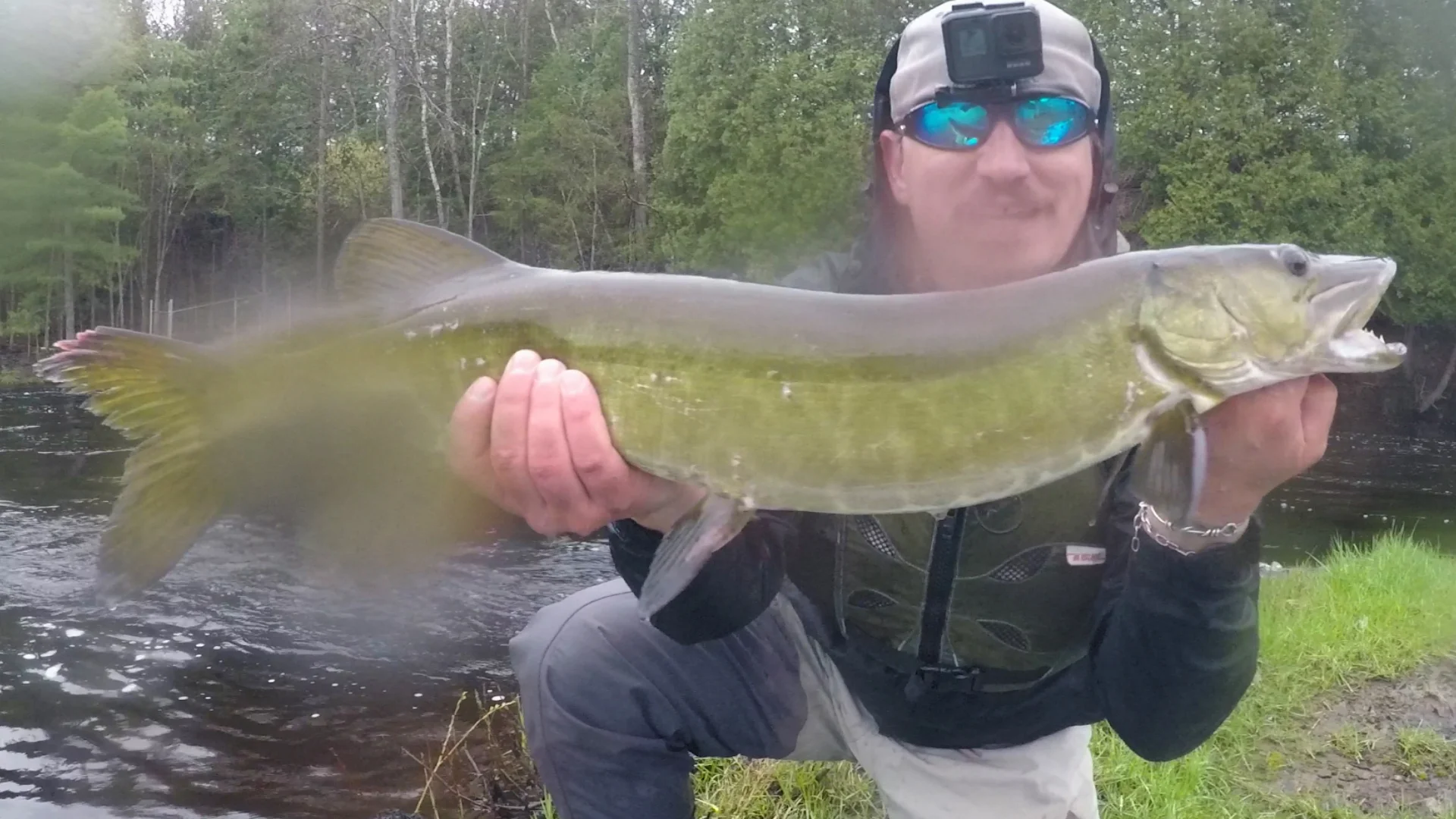 Sweet fish hit a figure 8 at my feet.