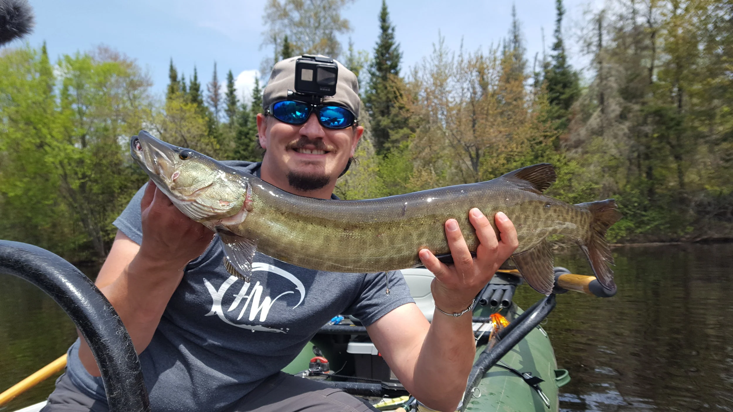 This musky was my 2nd of the day - it hit on the very first cast of my Super Shad Rap in Yellow perch - great fun to catch this fish just feet from my raft.