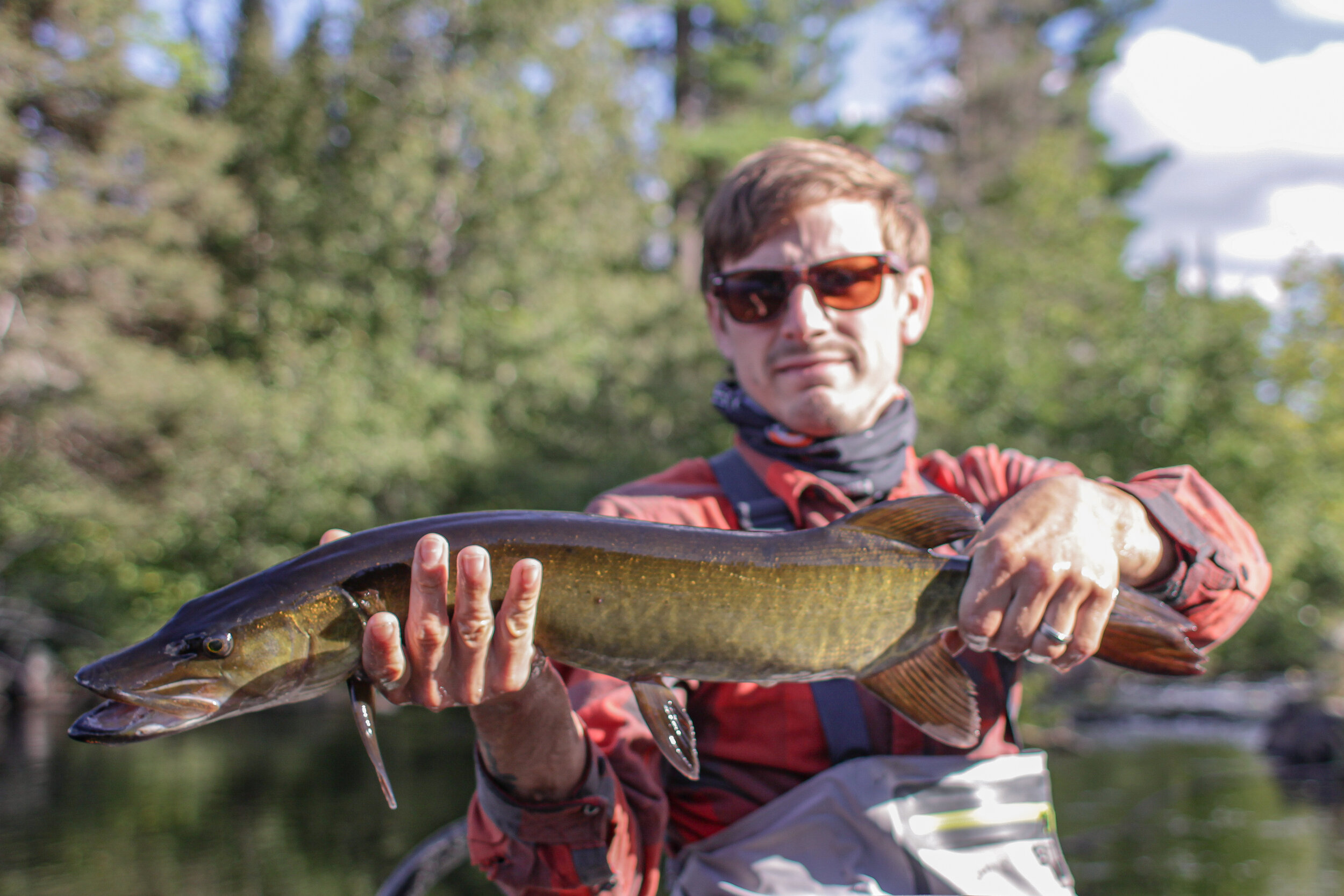 Topwater Bass and Pike, Michigan Kayak Fishing