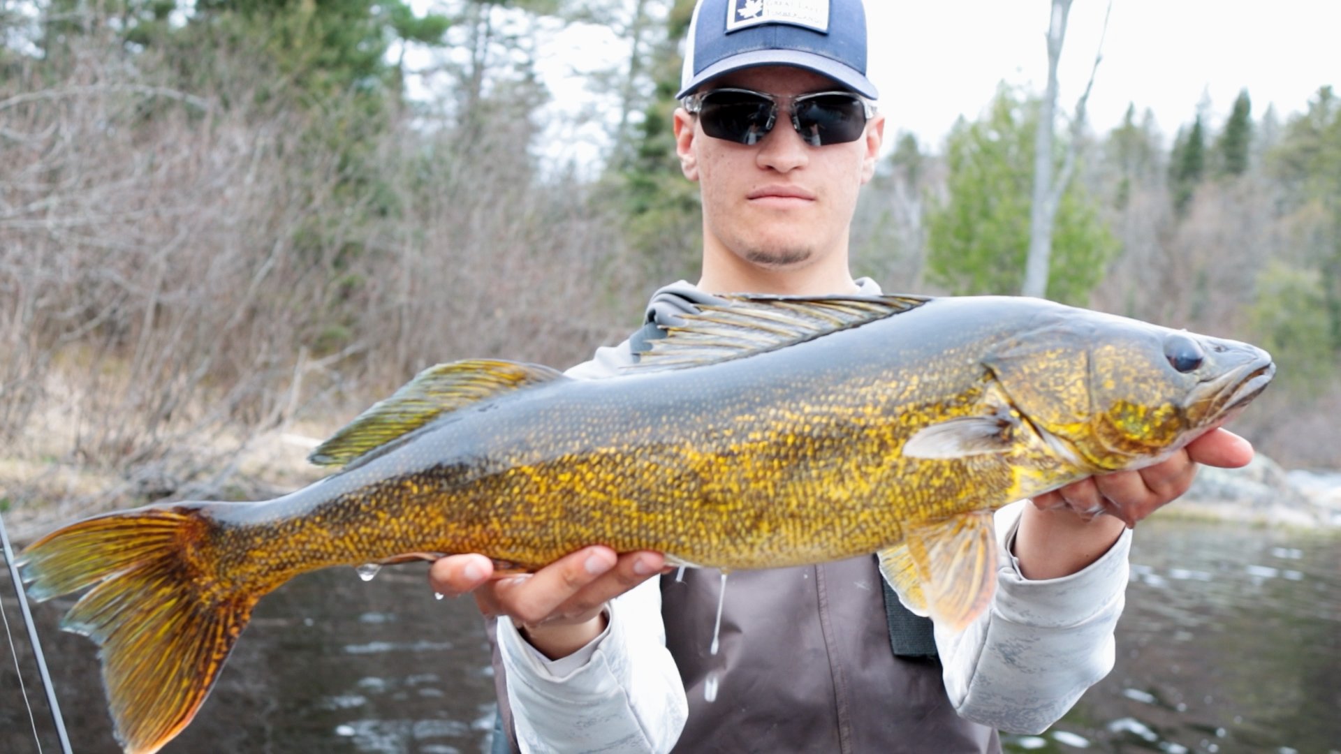 walleye 1.jpg