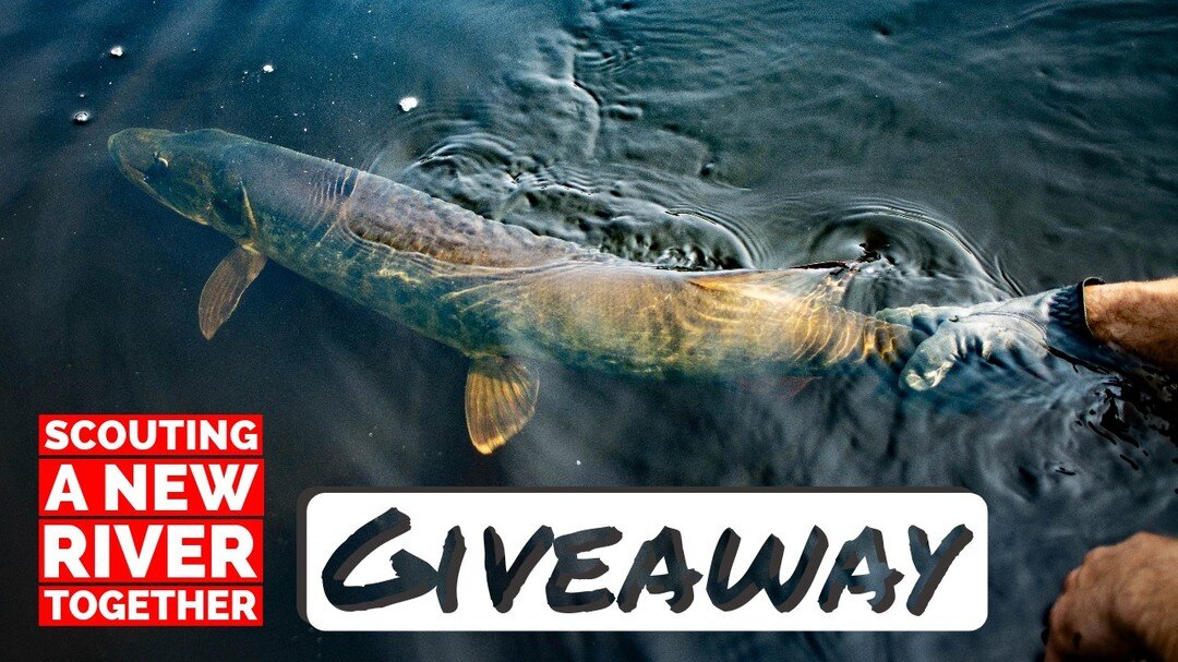 Hey, guys. Head to https://youtu.be/iFQ99x57VSs to check out my video on a cool giveaway trip I am doing for next year. This giveaway is open from now until Christmas 2023. Super easy to enter on my YouTube channel. I will be fishing and filming a ne