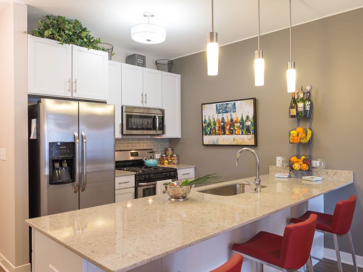Luxury rental apartment- kitchen