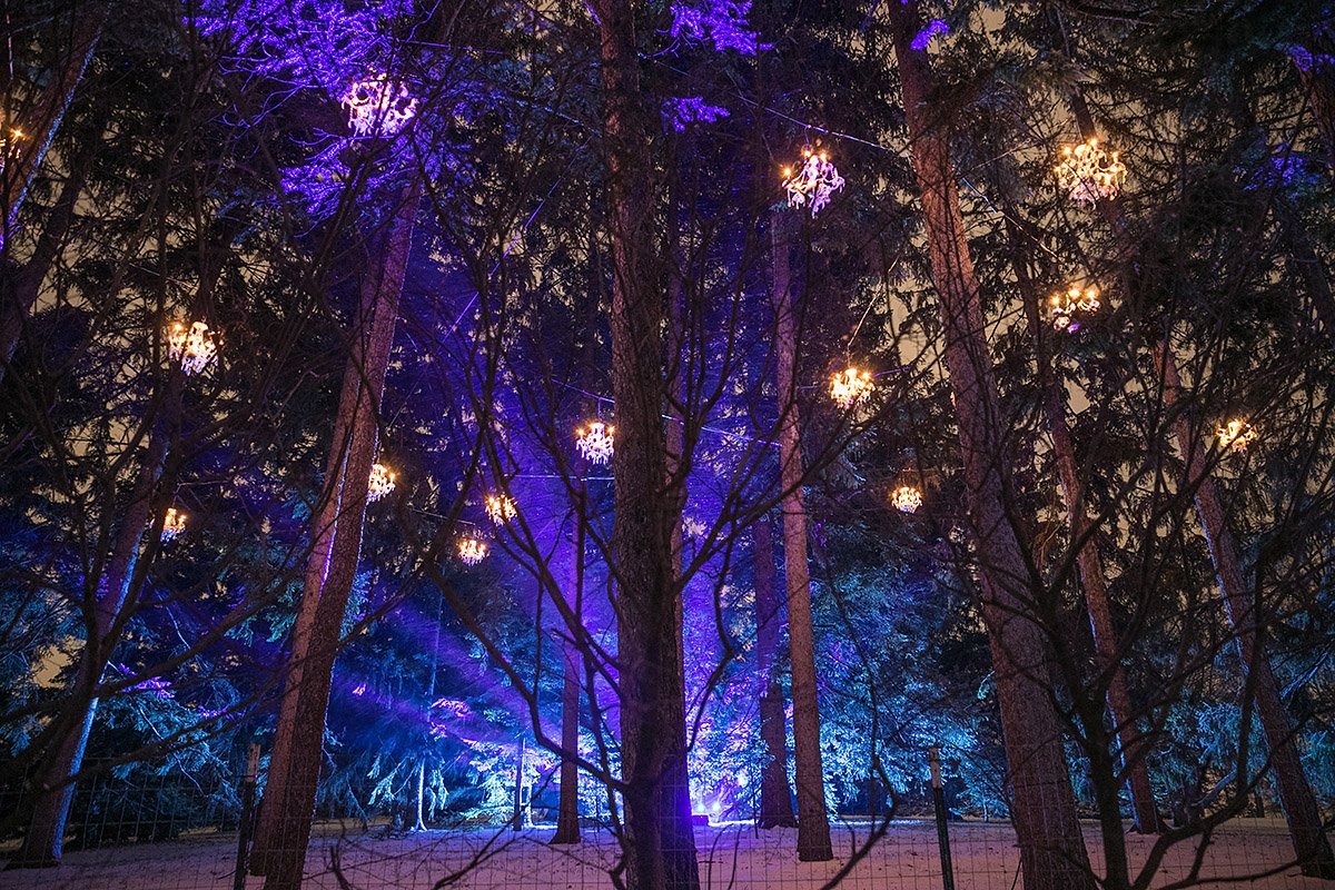 Holiday lights, Morton Arboretum