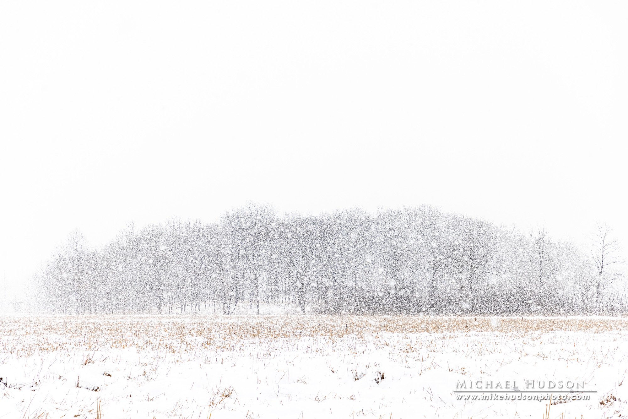 Blizzard, northern Illinois