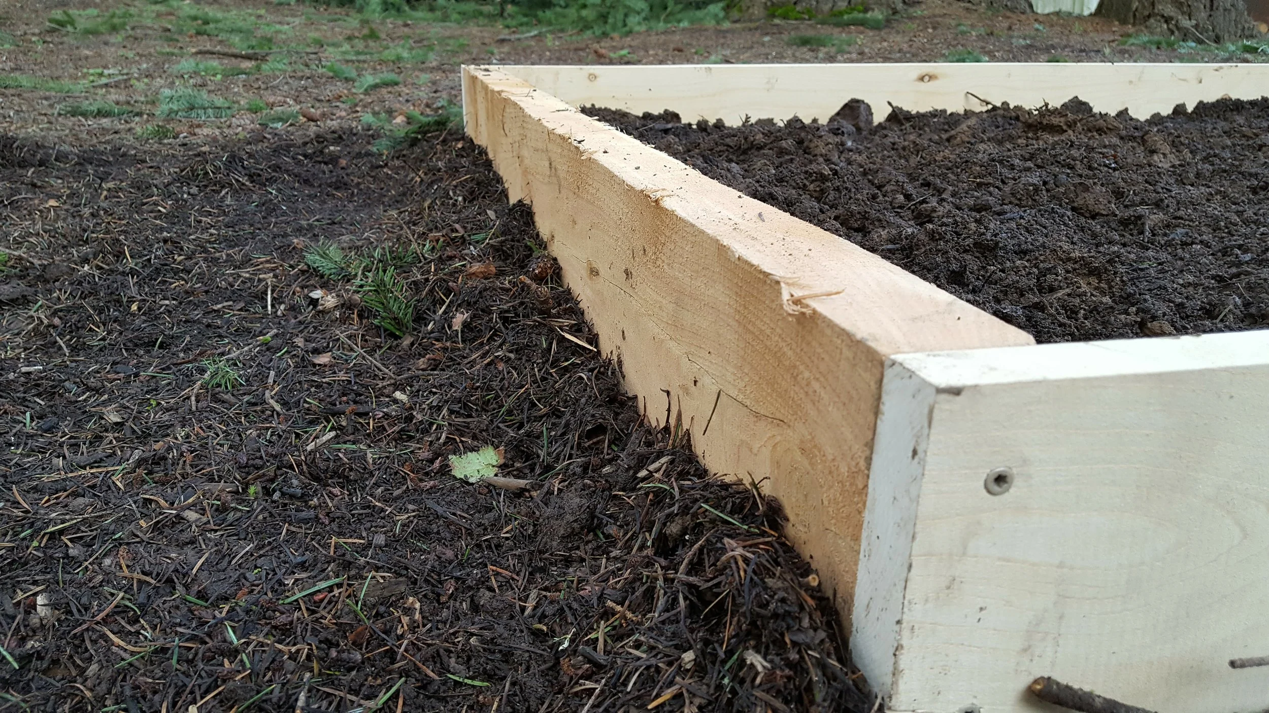 The Domini Garden Kit (Combo 1" and 2" Thick Boards)