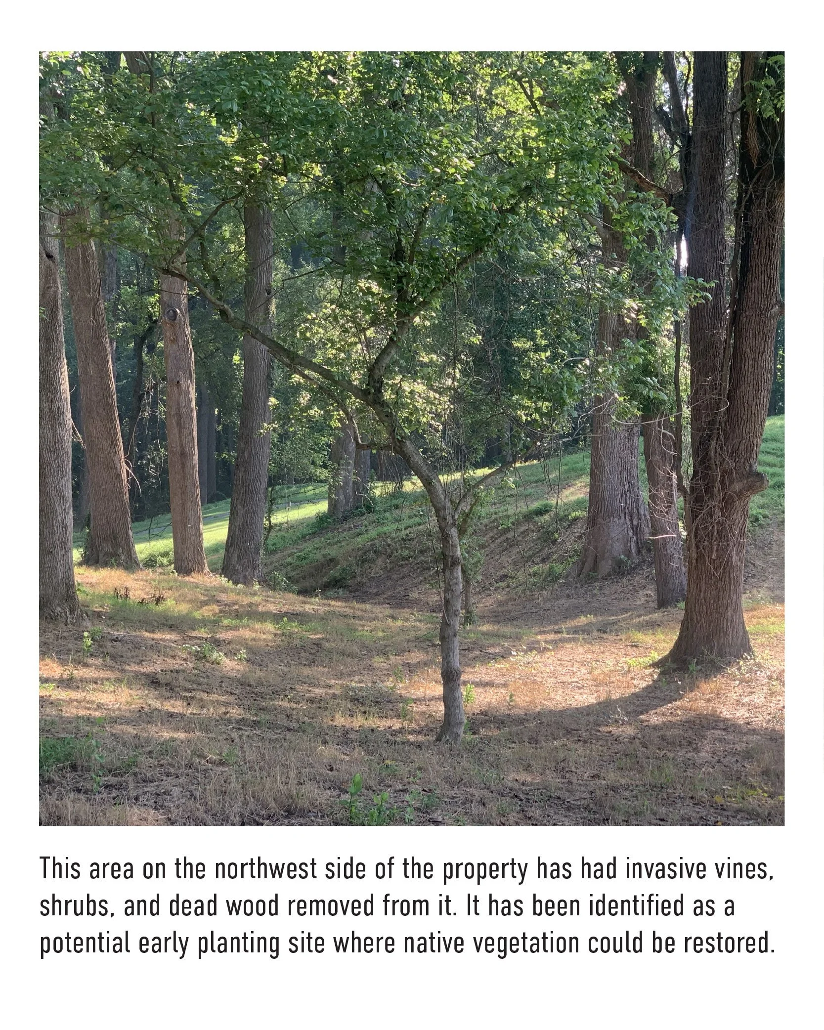 RC August Update UPDATED - 2.jpg