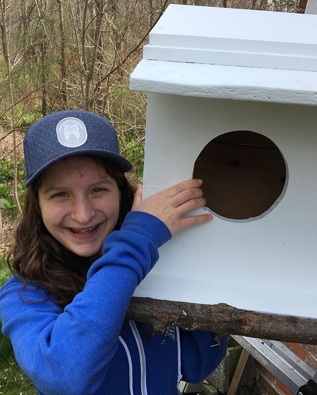 Dad homeschool lesson for the week: turn a kids passion into a tangible project.

Ava loves owls so she researched owls common to Connecticut then drew up the plans for how to build an appropriately dimensioned owl house for a barn owl.
Then together