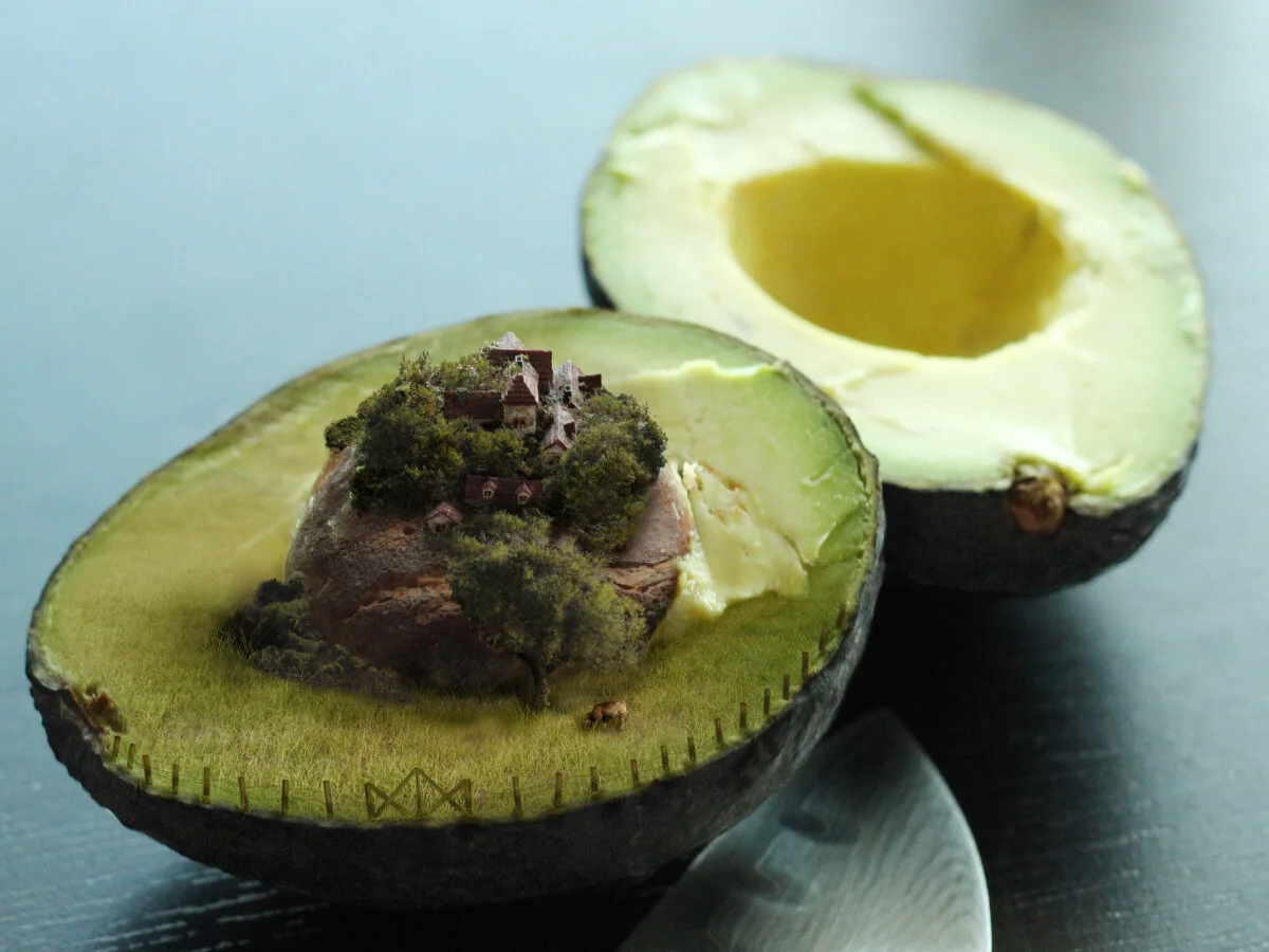 avo.jpg