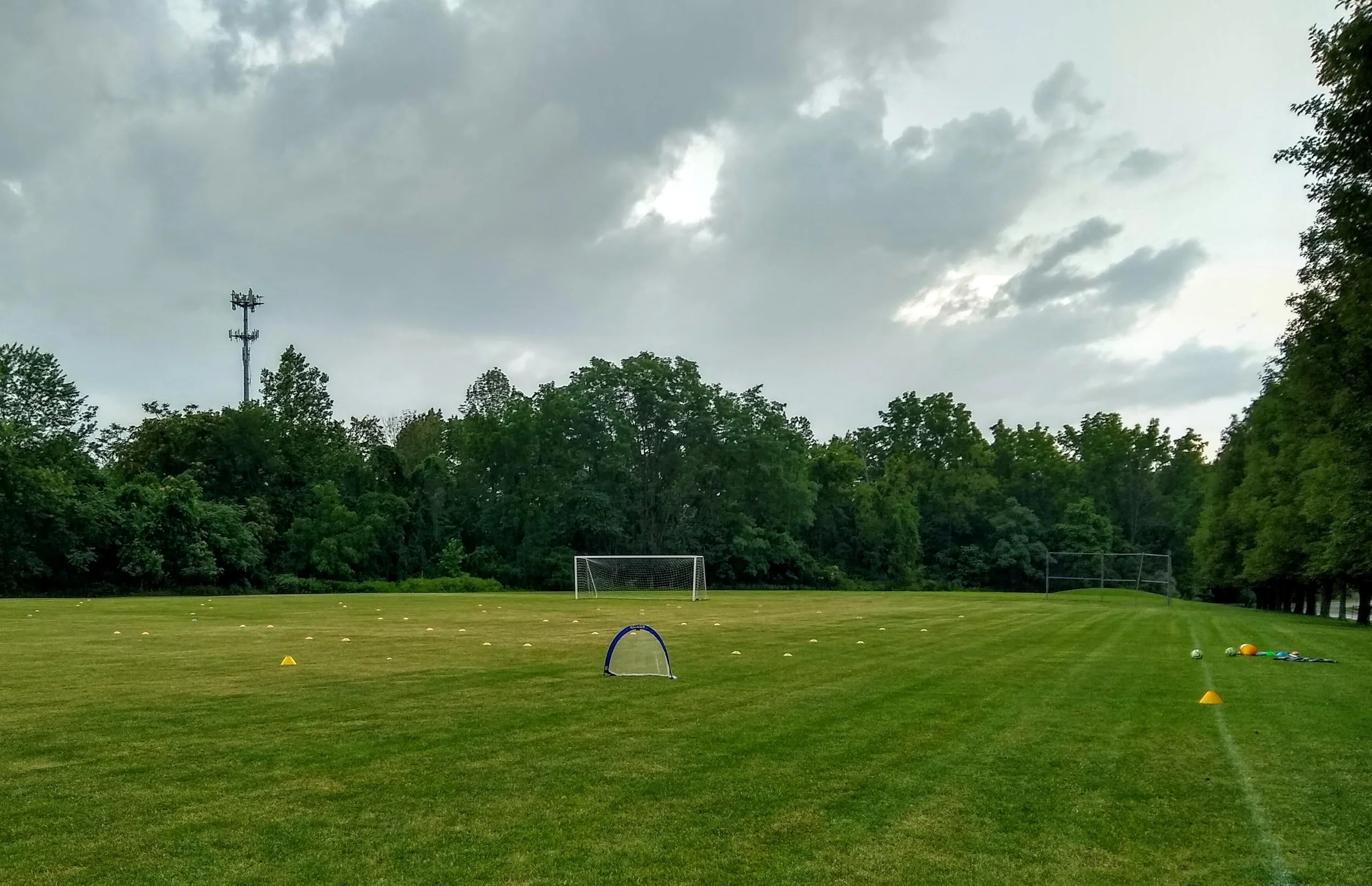 emoty field.jpg