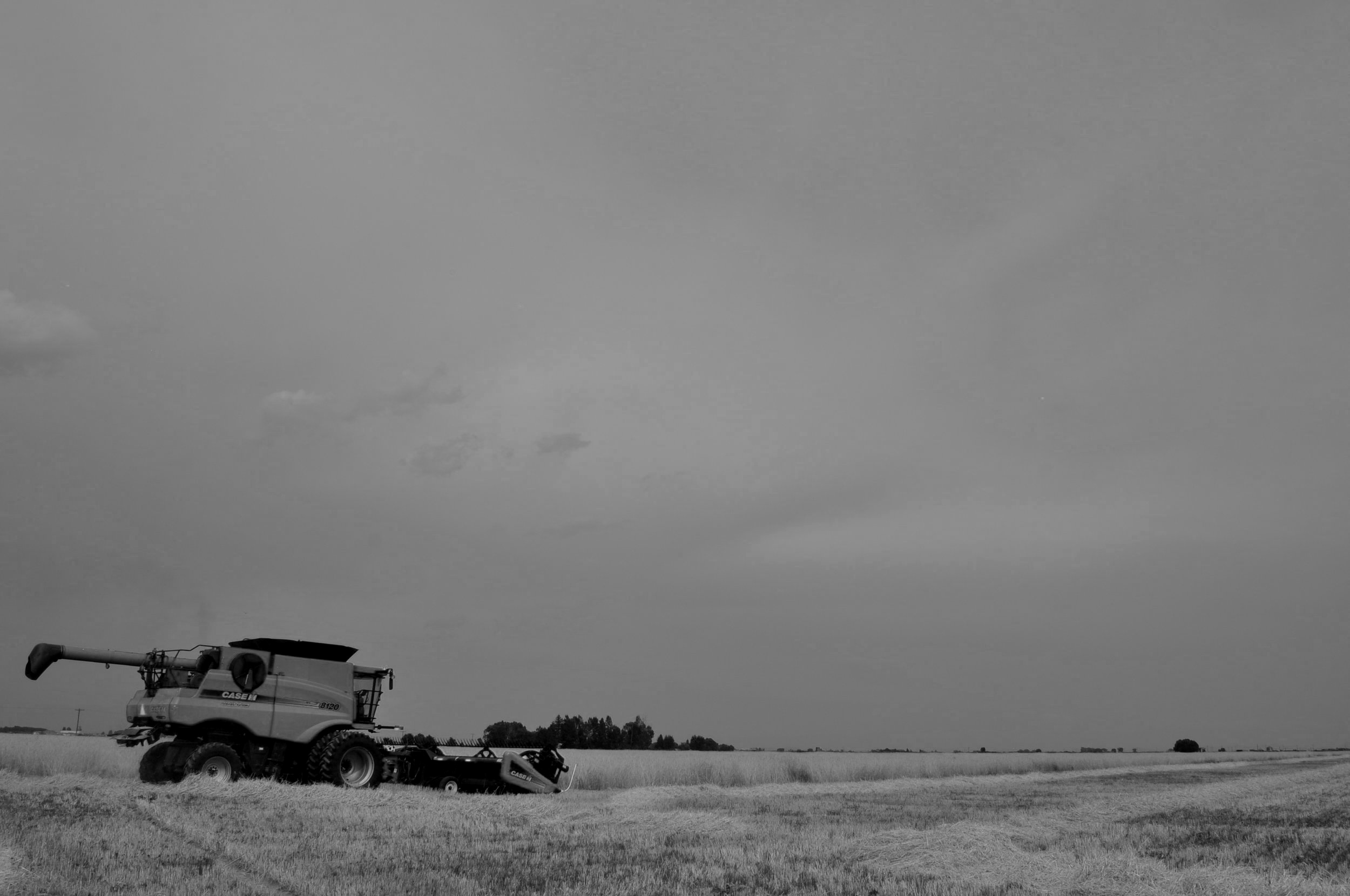 DSC_0184.jpg