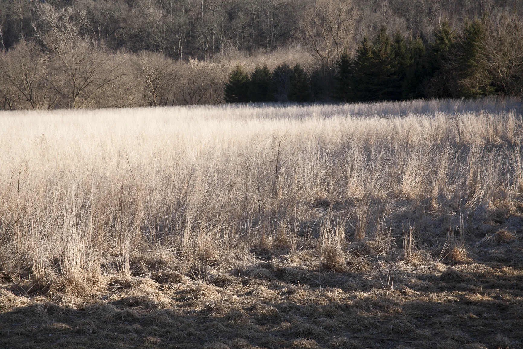 06Driftless.jpg