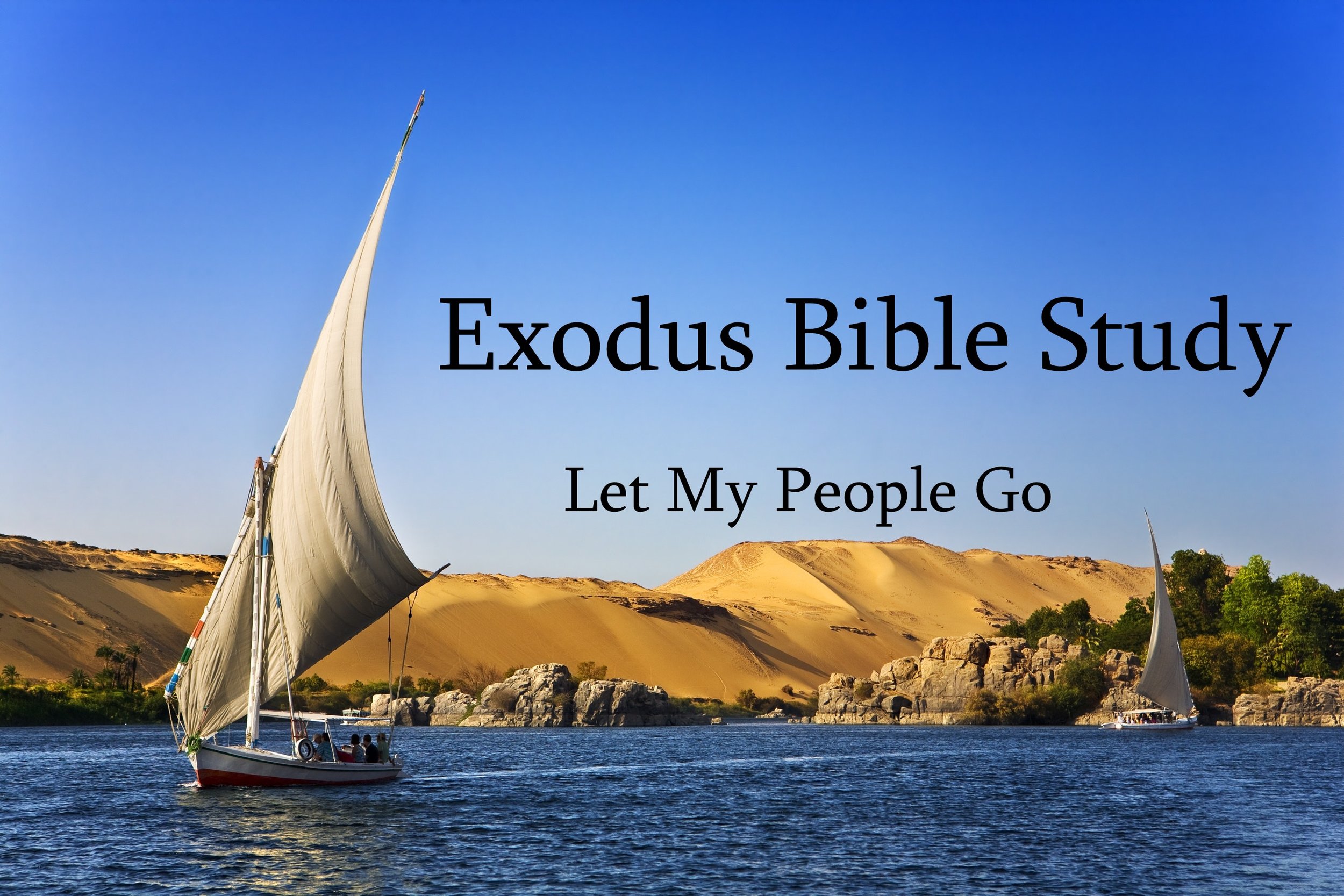 Our Exodus Bible Study Schedule Is Ready — Associated Presbyterian