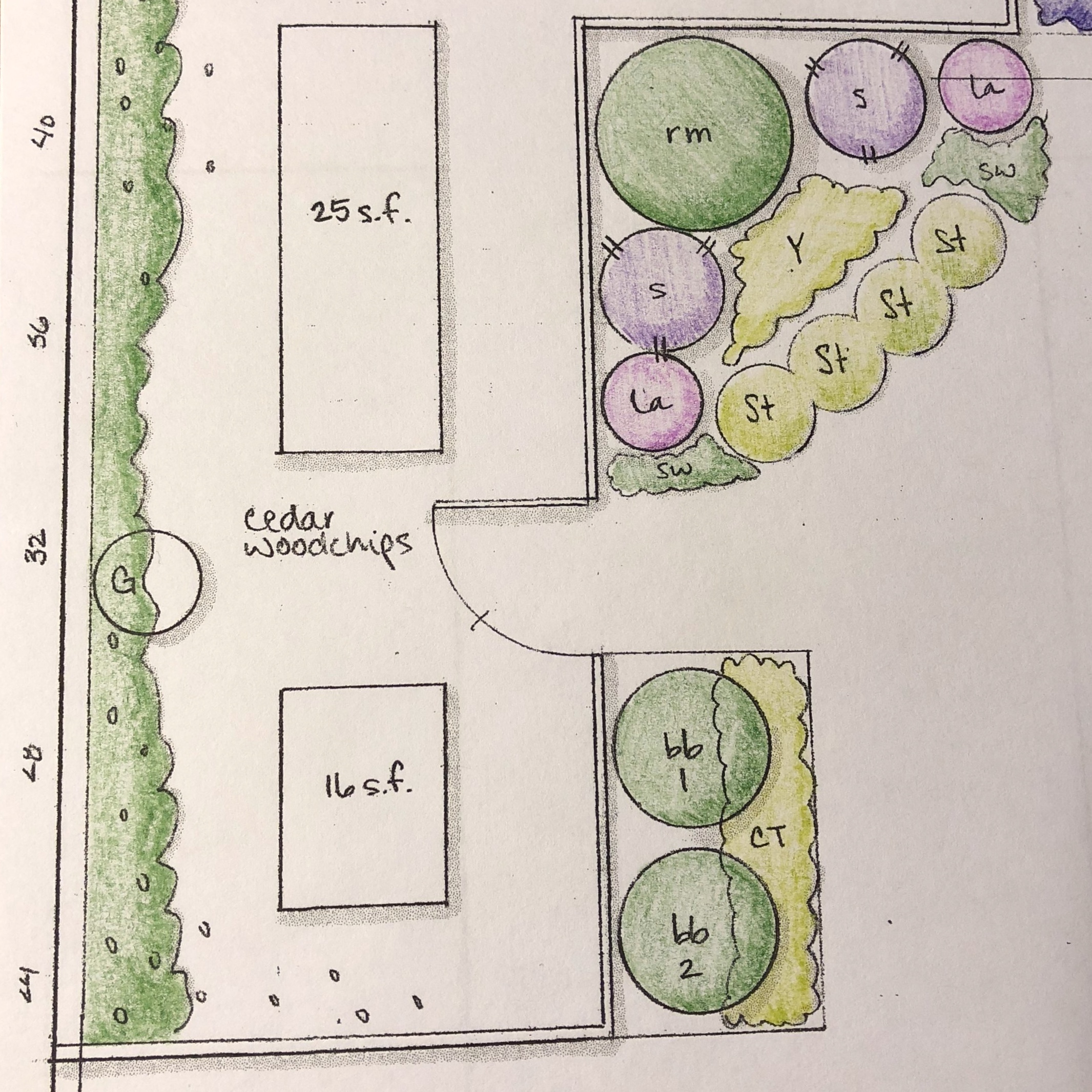 Close up of a hand-drawn landscape planting plan.