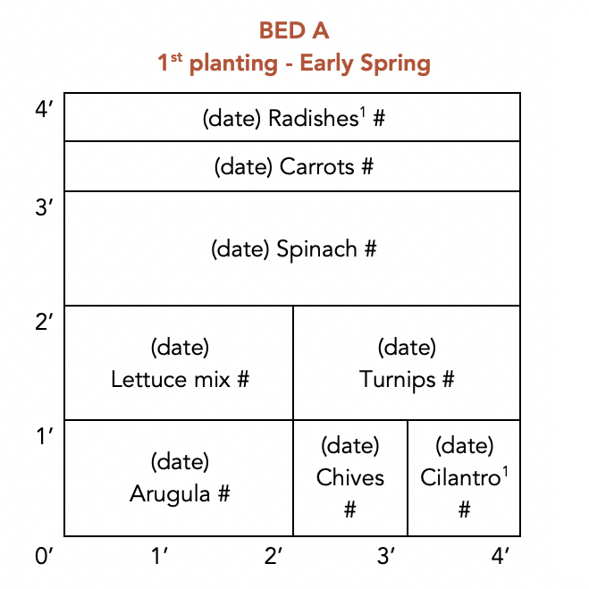 4x4 planting plan_EXAMPLE1.png