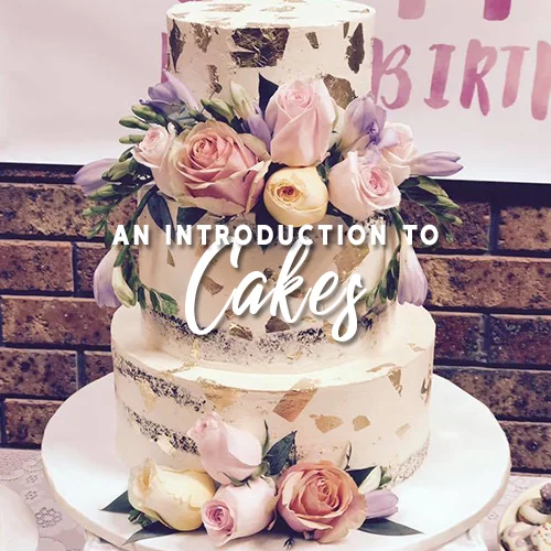 An Introduction to Cakes