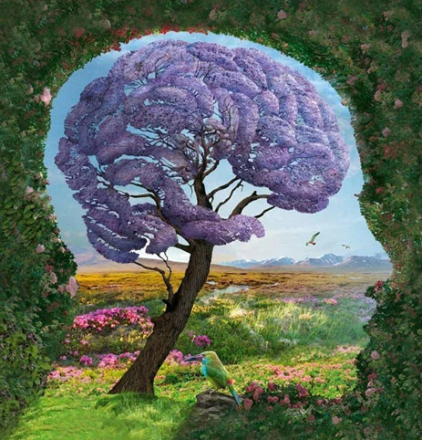 Mind.jpg