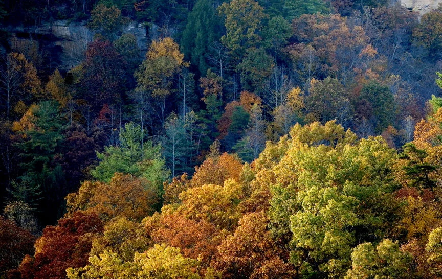 KYLandscape.jpg