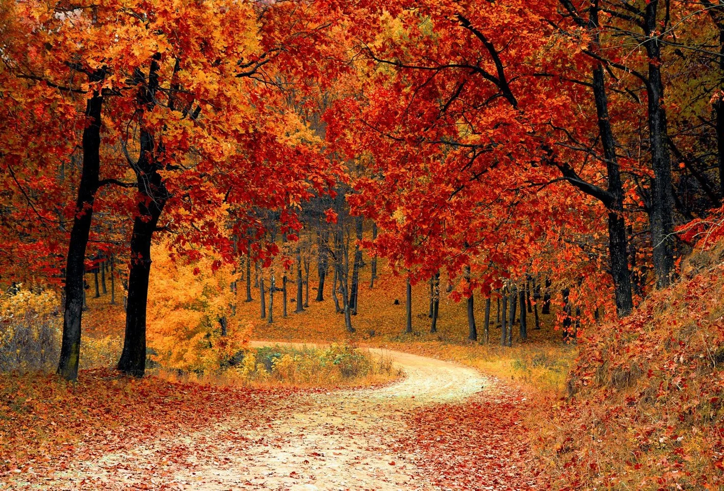 AutumnFarm.jpg