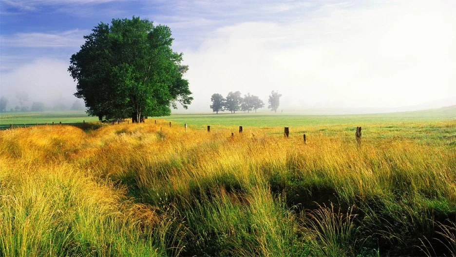 FarmLand.jpg