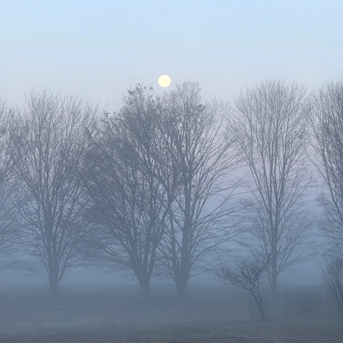 FogMoon.jpg