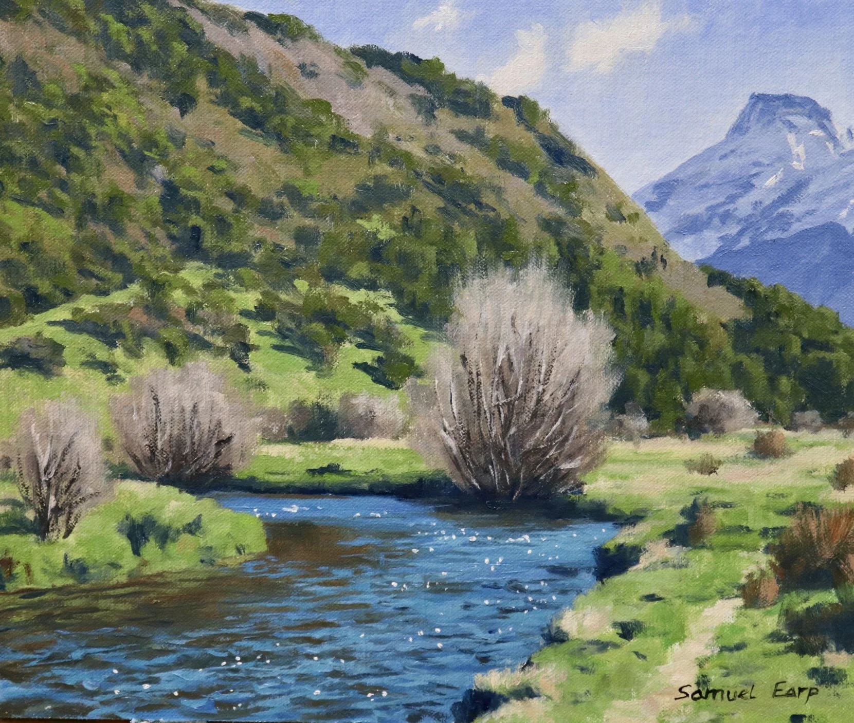 How to Paint Winter Willow Trees — Samuel Earp Artist