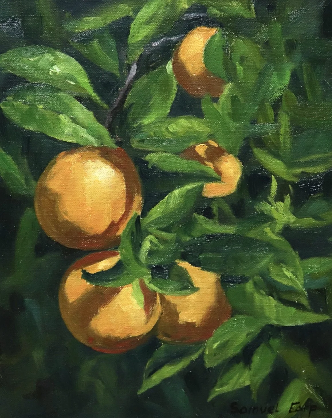 How to Paint Oranges — Samuel Earp Artist