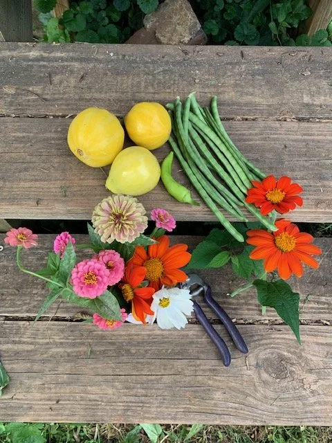 Laid off &amp; Planting Seeds: A Lean Experiment