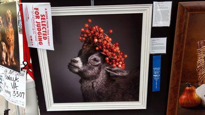 "Pietist Mia" is a baby pigme goat who was crowned with berries. This portrait was selected for judging at the prestigious Boardwalk Art Show in VA Beach, 2017