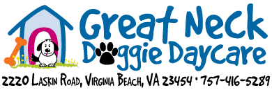 gndd-homelogo-wagging.gif