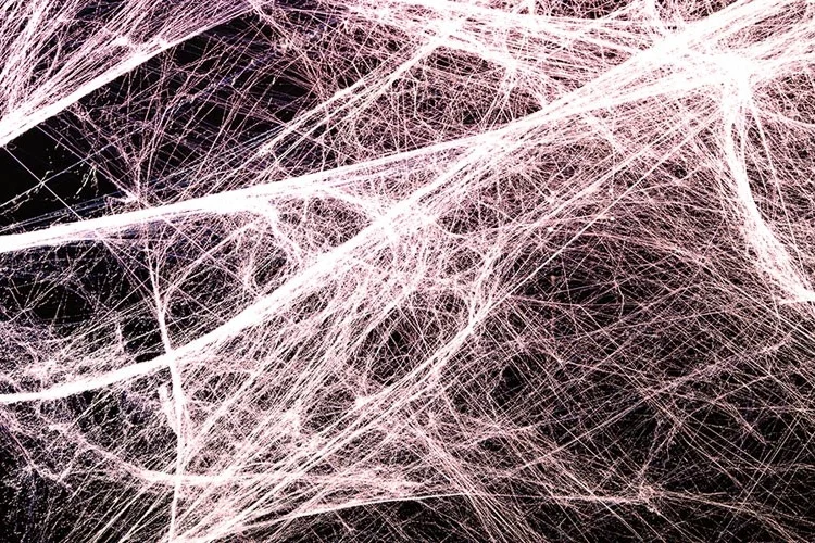 About Yin Yoga : What is Fascia?