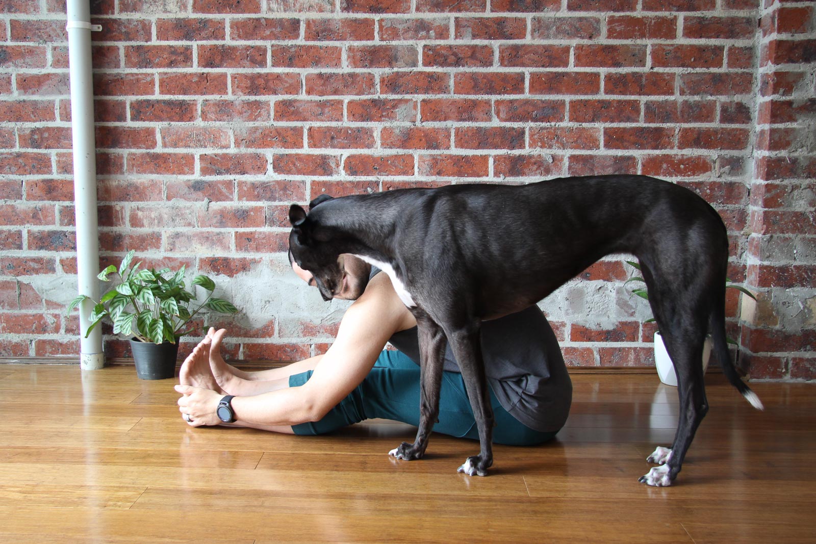 Distractions are everywhere! Fold forward to enjoy a moment spent in introspection.  IMAGE | Andrew &amp; Aria