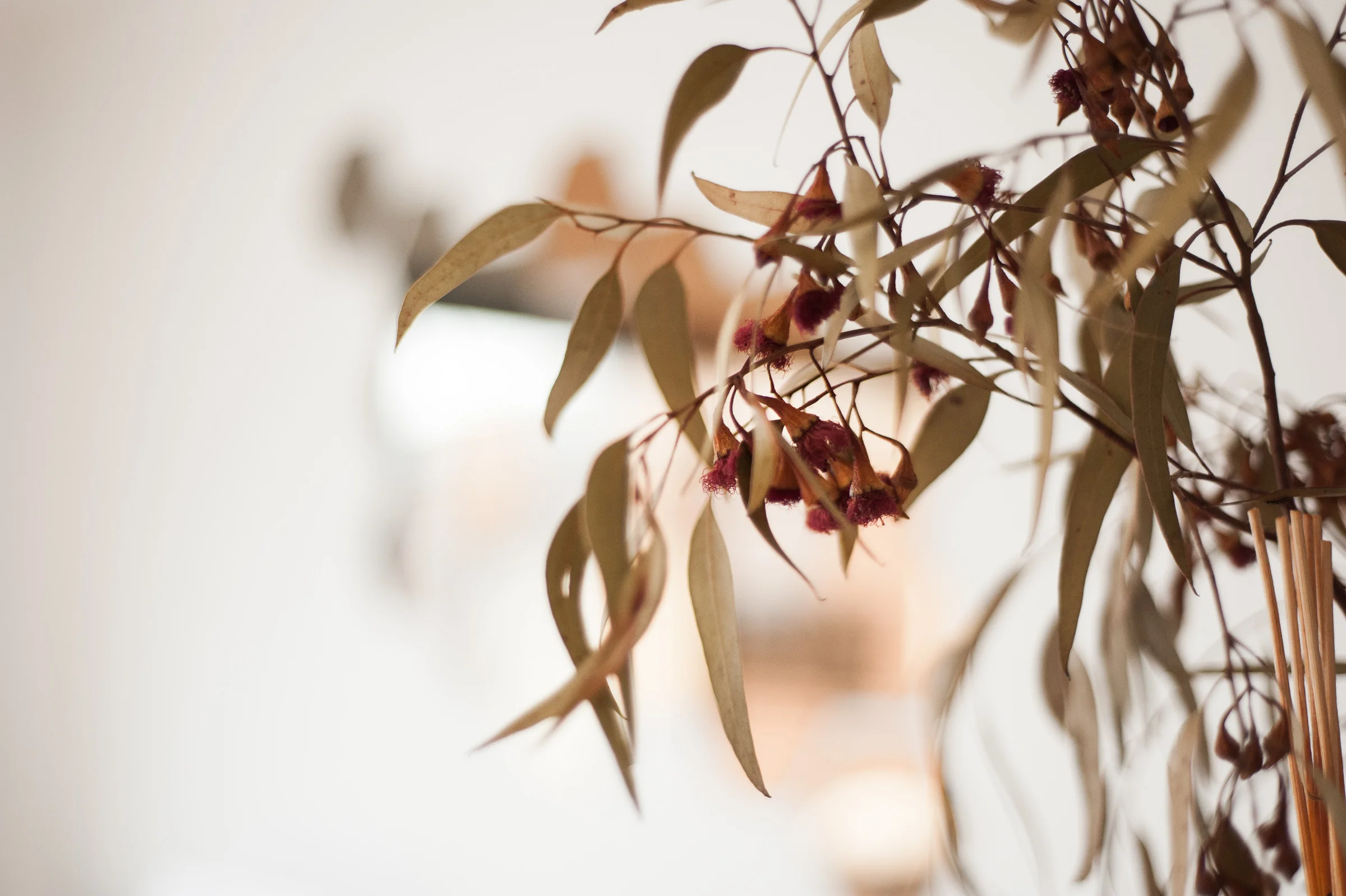 The Sacred Pause | How Stopping Helps Us Move, With Purpose