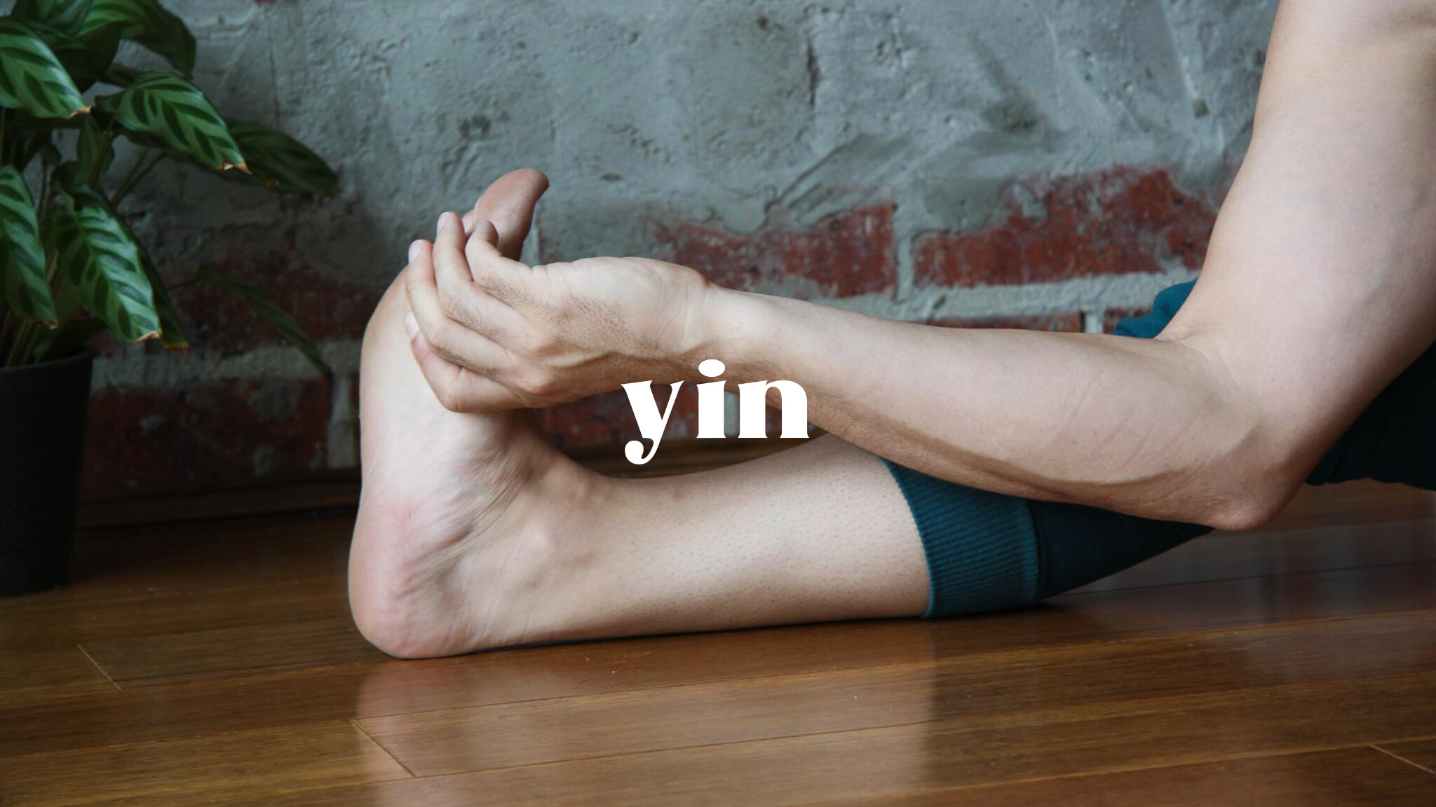 estuary online - yin