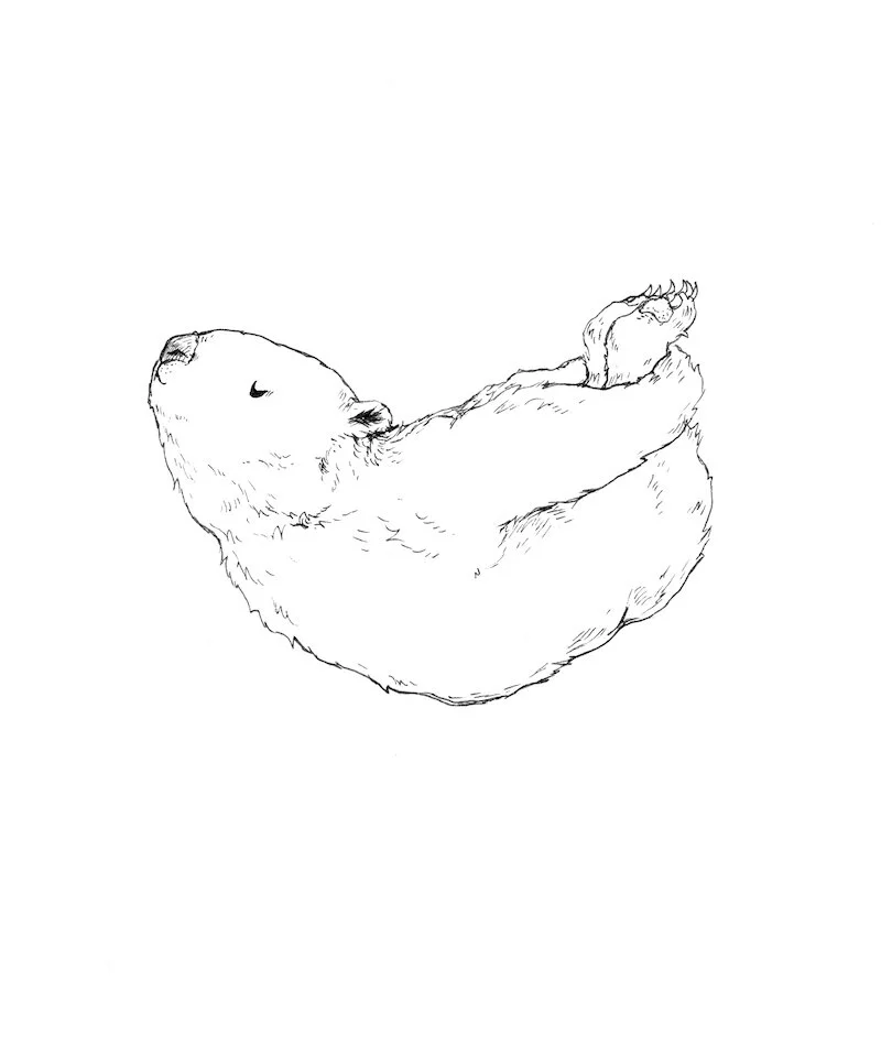 Back Bending | Strong Centre, Open Heart